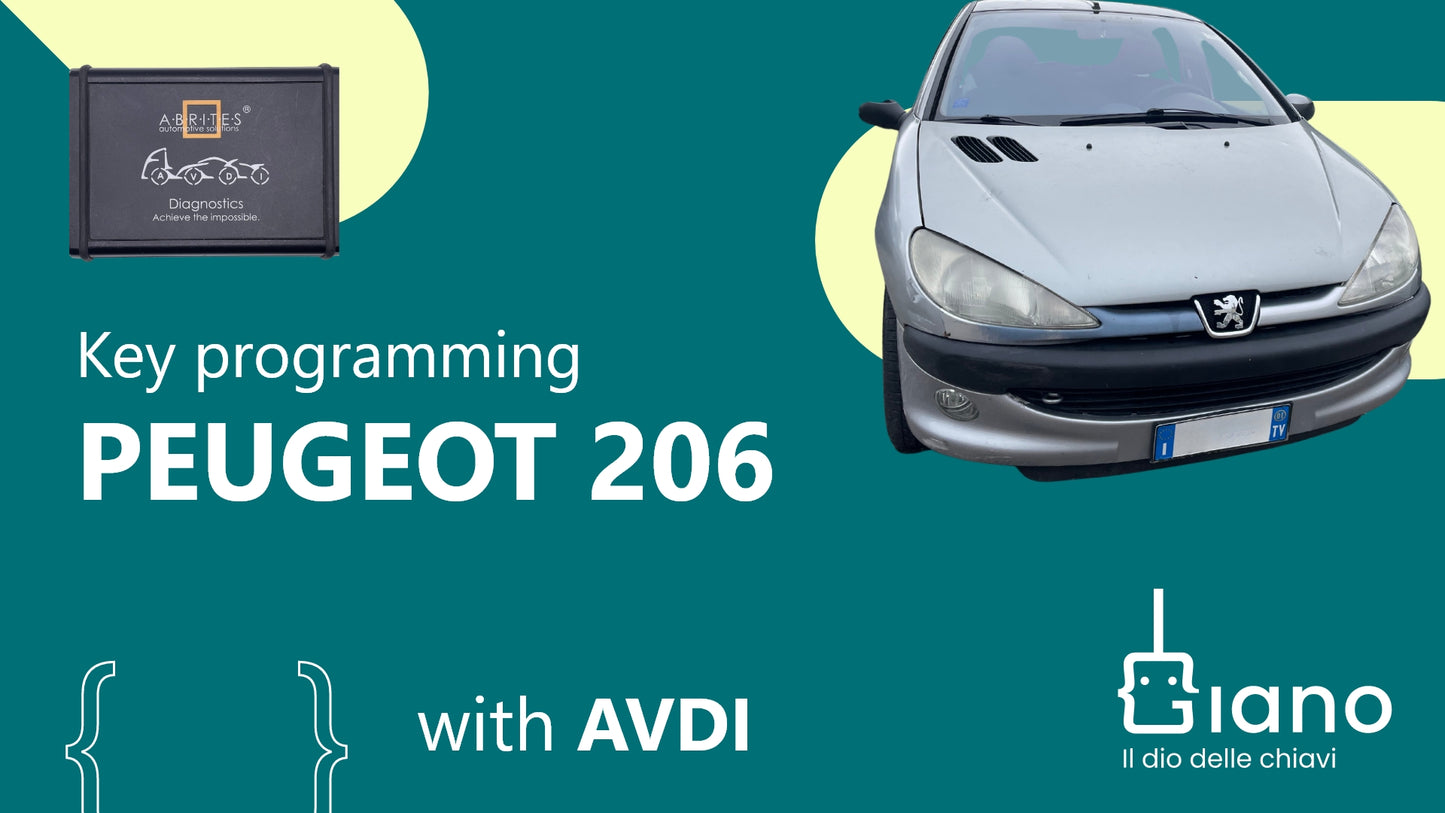 tutorial Peugeot 206 with AVDI