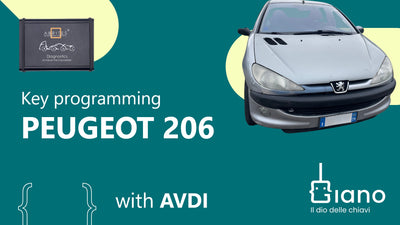 tutorial Peugeot 206 with AVDI